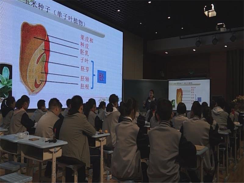 自能课堂展风采   同伴互助促成长