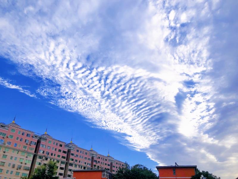 【71时讯】郑州市第七十一中学2023年七年级新生入学须知